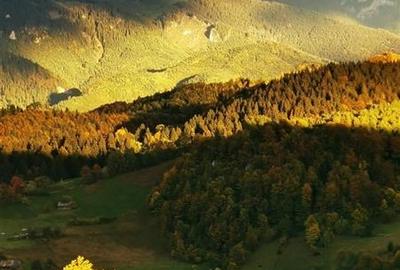 7.000 mp, pozitie spectaculoasa, fara vecini, Fundatica, Brasov - 2