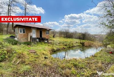 Teren de 1150 mp, în Pădureni (Ciurila) - 1
