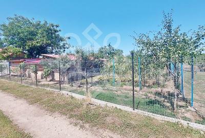Casa cu teren in Tinca - 20