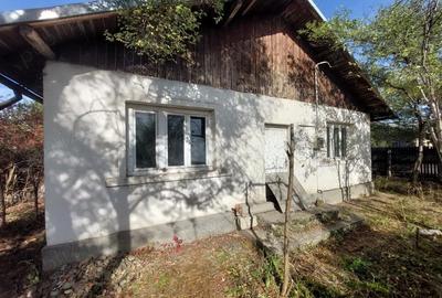 Casă cu 3 camere cu Teren 496 Mp în Vest - 5