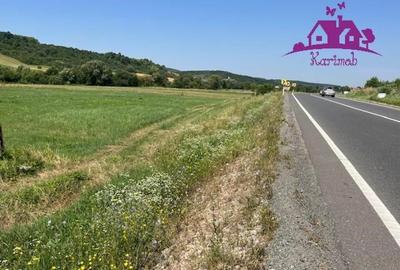 Teren intravilan Hidiselul de Sus - 8