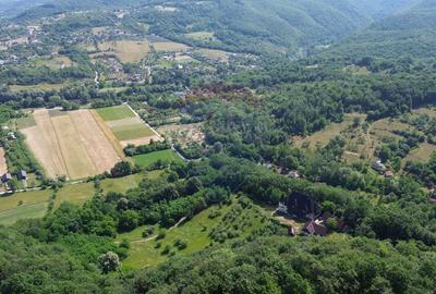 Casă cu 10 camere cu Teren 24700 Mp în Berchezoaia - 3