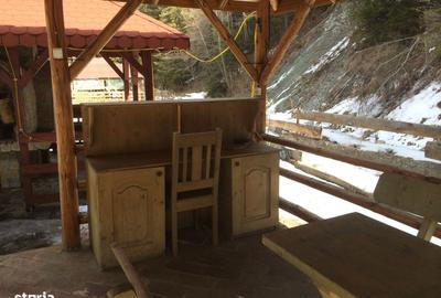 Casă cu Teren 1186 Mp în Moieciu - 8