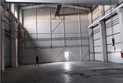 Hala cu inaltime de 15m si pod rulant de 25t - 2