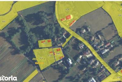 Casă cu 3 camere cu Teren 713 Mp în Slobozia - 3