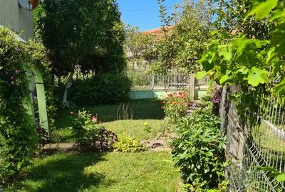 Casa P+1+M in Brebi,Salaj cu 19,32 ari teren+garaj+anexe de 240 mp - 9