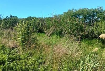 Teren intravilan de 3600 mp, în Valea Lungă - 3
