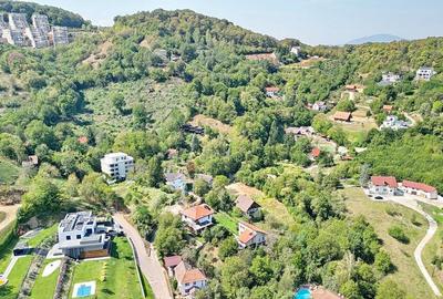 Teren intravilan Brasovul Vechi - 2