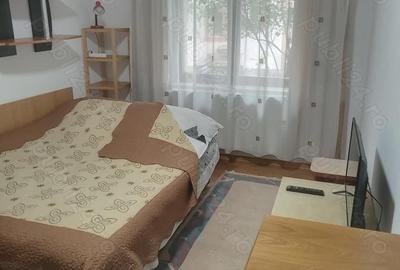 Apartament cu 2 camere decomandat în Vatra Dornei - 2