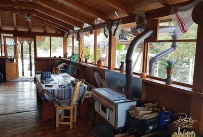 Cabana de lemn cu teren 760 mp de vanzare in Coada Lacului - Bihor - 7
