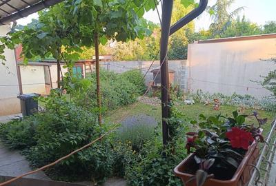 Vila  zona Elisabetin P+2E+M - 41