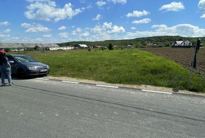 Teren de 600 mp, în Bascov - 2