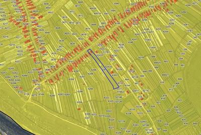 Teren de 4677 mp, în Copăceni - 2