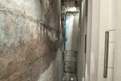 Spațiu comercial, de 250 mp, în Moșnița Nouă - 1
