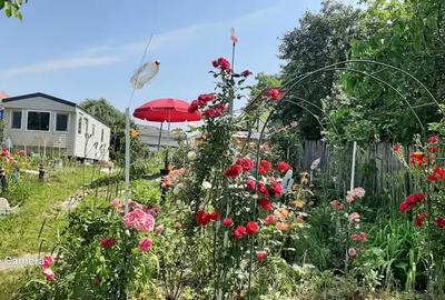 Casă cu 3 camere în Dragomirești-Deal - 9