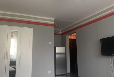 Garsoniera Tineretului - 4