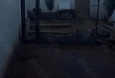 Casă cu 3 camere cu Teren 215 Mp în Central - 2