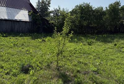 Casă cu 4 camere în Mănăstirea Cașin - 1