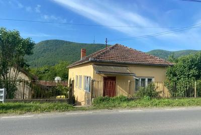 Casa de vanzare la ?ara, cu anexe ?i priveli?te superba ideala pentru familie sau casa de vacan?a - 6