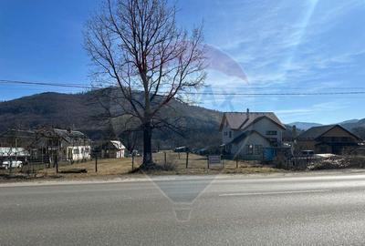 Teren Pangarati / DN DN 15 - 3