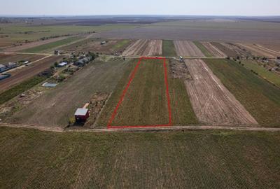 Teren Construcții intravilan de 6525 mp, în Adunații-Copăceni - 6