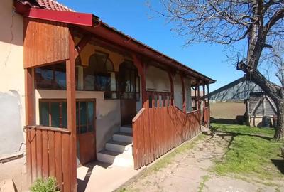 Casă cu 5 camere cu Teren 1250 Mp în Ciupercenii Noi - 3