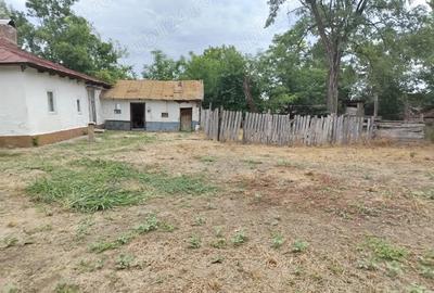 Casa la tara - 2
