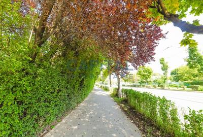 EXCLUSIVITATE! COMISION %! Ap 1 camera, etajul 3/8,  Plopilor, Parcul Rozelor - 10