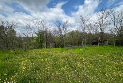 Spațiu comercial, în Malu Mare - 1