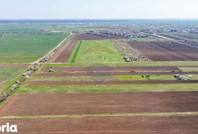 Teren de 500 mp, în Săbăreni - 17