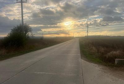 Teren de vanzare - 22800mp  - Parc Industrial km 23 - 7