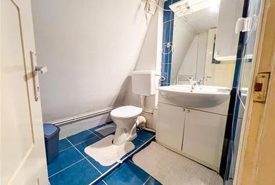 Casa armonios compartimentata, 834 mp teren, Ilieni, Covasna: FILM! - 19