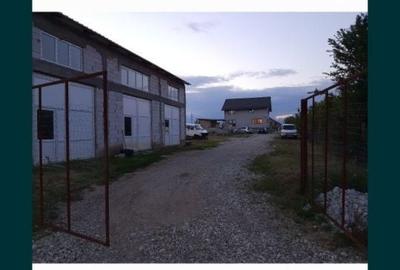 Casă cu 4 camere cu Teren 2200 Mp în Balș - 6