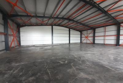 Hala noua in zona Drumul Intre Tarlale - 1