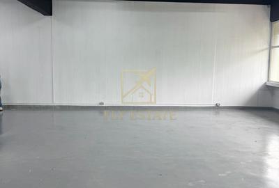 Spațiu industrial, de 180 mp, în Theodor Pallady - 8