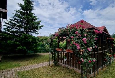 Duplex cu 5 camere cu Teren 549 Mp în Corbeanca - 12
