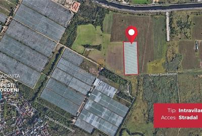 Teren intravilan 9.996 mp, Popesti-Leordeni–Splaiul Unirii - 3