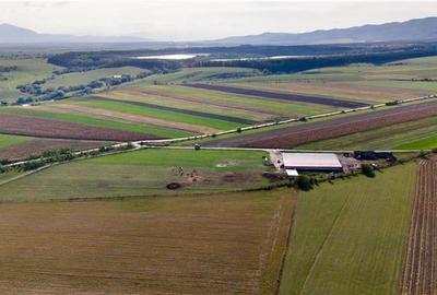 FILM! Zona extinsa, teren mixt,18.000 mp, ideal agro-investitii, Rotbav, Brasov - 2