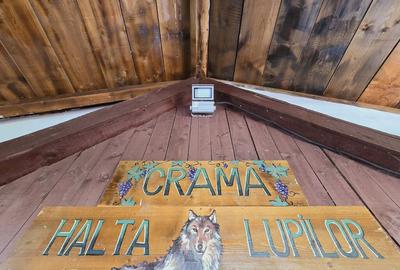 Vie Tradi?ionala Halta Lupilor - 17