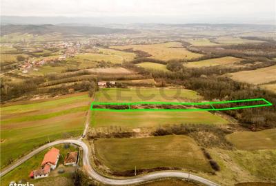 Spațiu comercial, în Ceica - 4