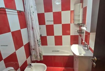 Apartament cu 3 camere de inchiriat la Piata Gorjului - 9
