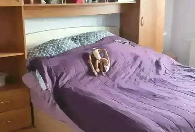 Casă cu 6 camere cu Teren 431 Mp în Aradului - 4