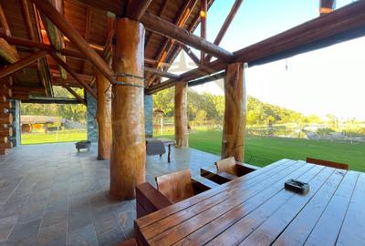 Casă cu 9 camere cu Piscina în Grădiștea - 16