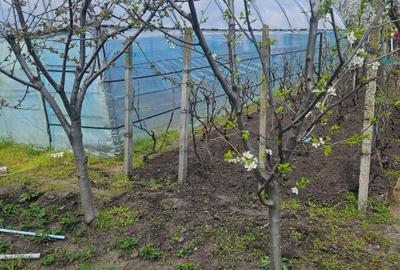 Casă cu 4 camere în Nanov