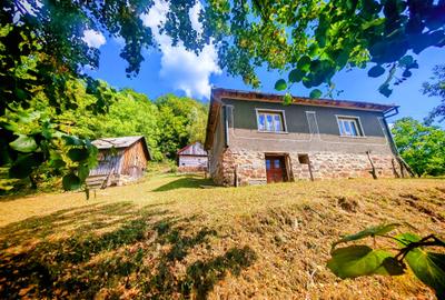 CASA TRADITIONALA, ANEXE si 46.980 mp teren partial INTRAVILAN BULZ - BIHOR - 11