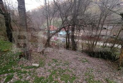 Teren intravilan 2900 mp in Zona Presaca Ampoiului - 2