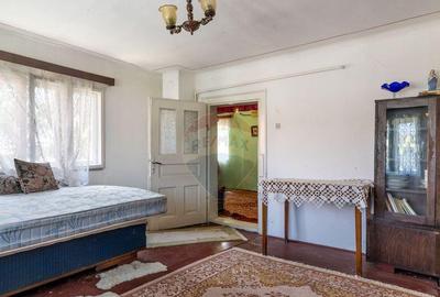 Casa cu gradina de vanzare in Copaceni - 12