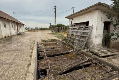Spațiu comercial, de 7,000 mp, în Șagului - 11
