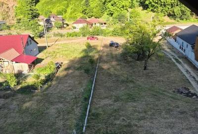 Casă cu 5 camere cu Teren 4000 Mp în Ilba - 1
