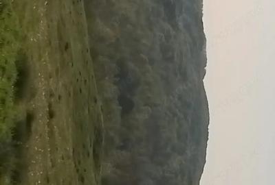Teren de 3600 mp, în Aluniș - 2